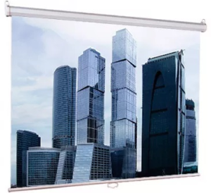 Lumien Eco Picture [LEP-100121] Настенный экран  115х180см (рабочая область 109х174 см) Matte White восьмигранный корпус, возможность потолочн./настен
